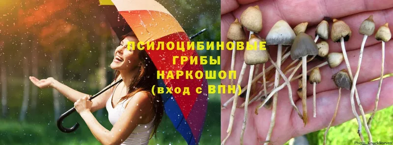 Галлюциногенные грибы MAGIC MUSHROOMS  Зарайск 